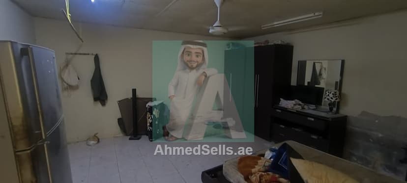 10 year old business-for-sale
